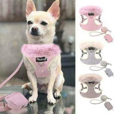 Pink Paws Pet Parade Kit: Ultimate Style & Comfort 🐾-1