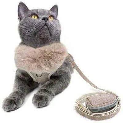 Pink Paws Pet Parade Kit: Ultimate Style & Comfort 🐾-3