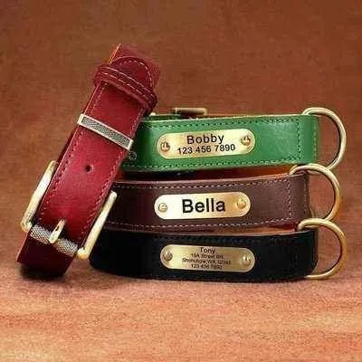 Personalised Leather Dog Fashion Set 🐾-1