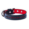 Eco Friendly Recycled Inner Tube Vegan Dog Collar-0